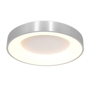 Design LED plafondlamp Ringlede staal-2562ZI