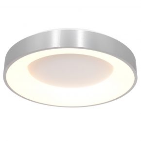 Ronde design LED plafondlamp Ringlede staal-2563ZI