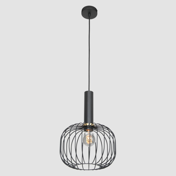 Industriële hanglamp Aureole zwart ø 25 cm - Afbeelding 15