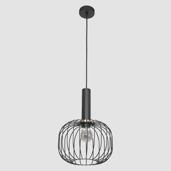 Industriële hanglamp Aureole zwart ø 25 cm - Afbeelding 16