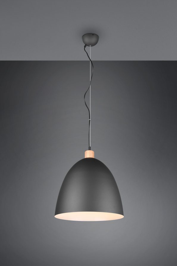 Industriële hanglamp Jagger zwart ø 40 cm - Afbeelding 3