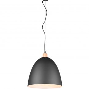 Industriële hanglamp Jagger zwart ø 40 cm
